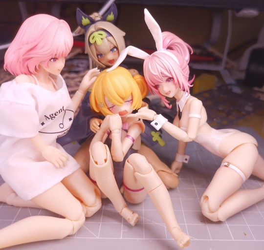 羡慕猫猫被群狼环伺（