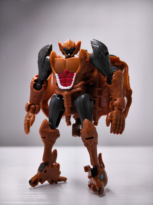 塔斯马尼亚幼獾