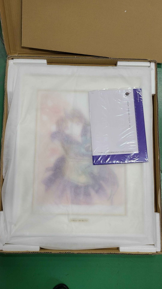 文学少女 迈向神境的作家