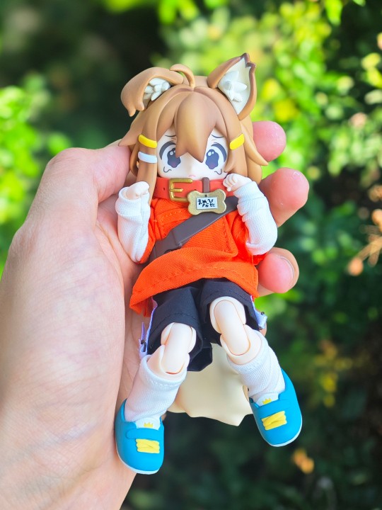 好看但是贵的离谱