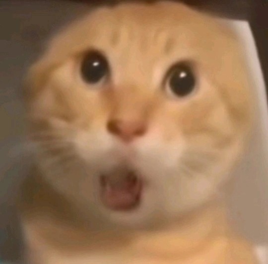 对不起，但是真的很像