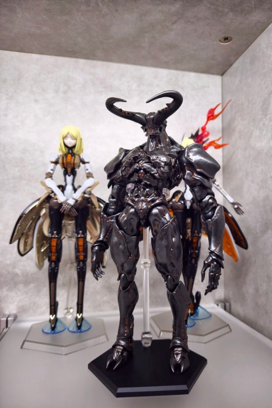 大王虎甲大小对比