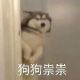 临阿昼