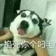 无故能回