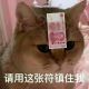尼古拉斯阿松