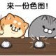双层企鹅堡