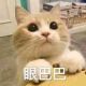 SuRa丶橘子