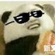 不吃鱼的小猫咪