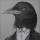 黒鳥