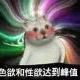 十代録