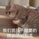 又菜又爱玩的七彩炫酷毛毛虫