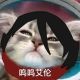 十点54