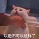 巴巴托斯土豆泥
