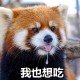 秀的水乱流