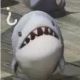 鲎鲎鲎
