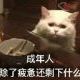 威严满满得说谎家