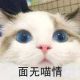 初夏丶天蔚蓝
