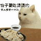 小老嘤