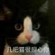 银发兽人族优势