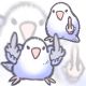 坨坨鸡