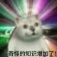 不一样的xp