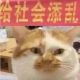 文文大王