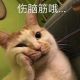 超级的贝吉特