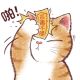 胖熊猫