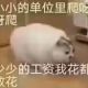 平成年代的死宅