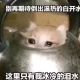 我小叮当