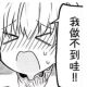 边境Raven