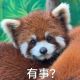 两艘跳