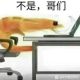 Hpoi-501476用户