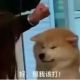戳戳不想被戳戳