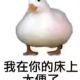 猫猫鼠