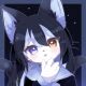 星の言STARGAZER