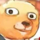 AAAAA566