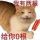 Vermouth丶