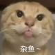 潜行的滑稽丶