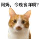 听得风是得雨