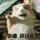 阿脩