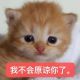 鱿鱼鱿鱼