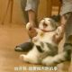 Hei鱼
