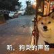 半吊子侦探