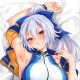 Hpoi-738183用户