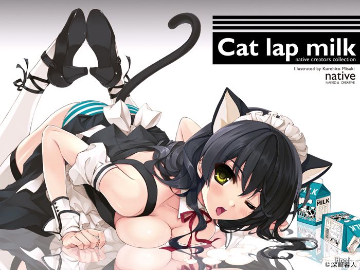 CAT LAP MILK