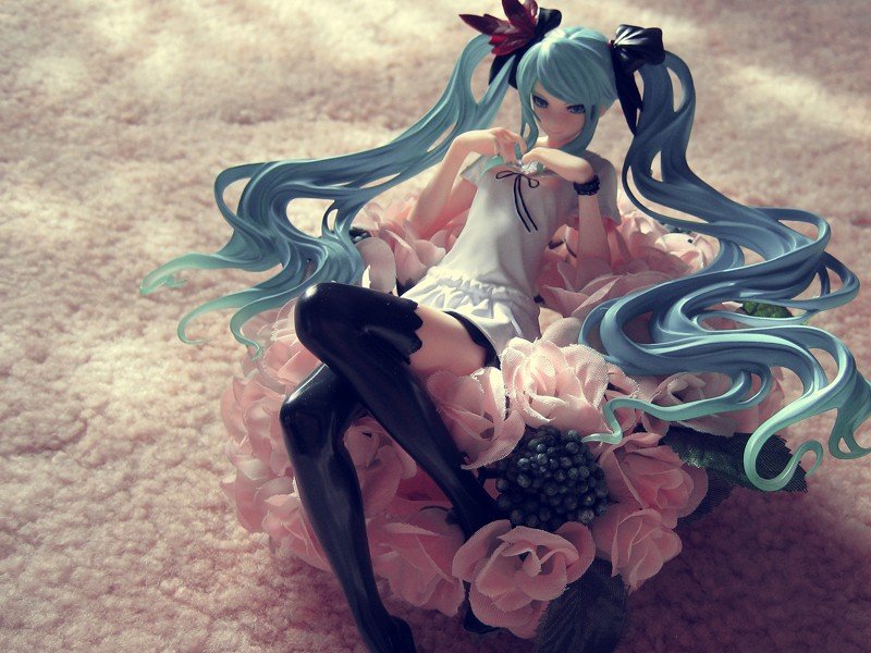 supercell feat. 初音未来 世界第一公主［棕色画框］