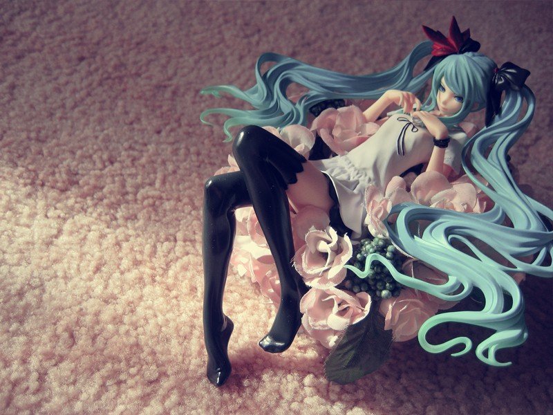 supercell feat. 初音未来 世界第一公主［棕色画框］