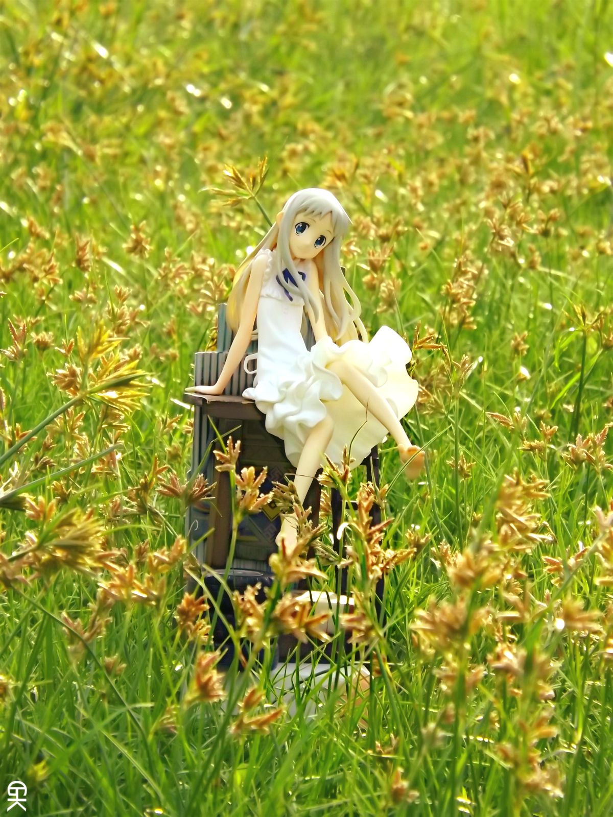 未闻花名 面码