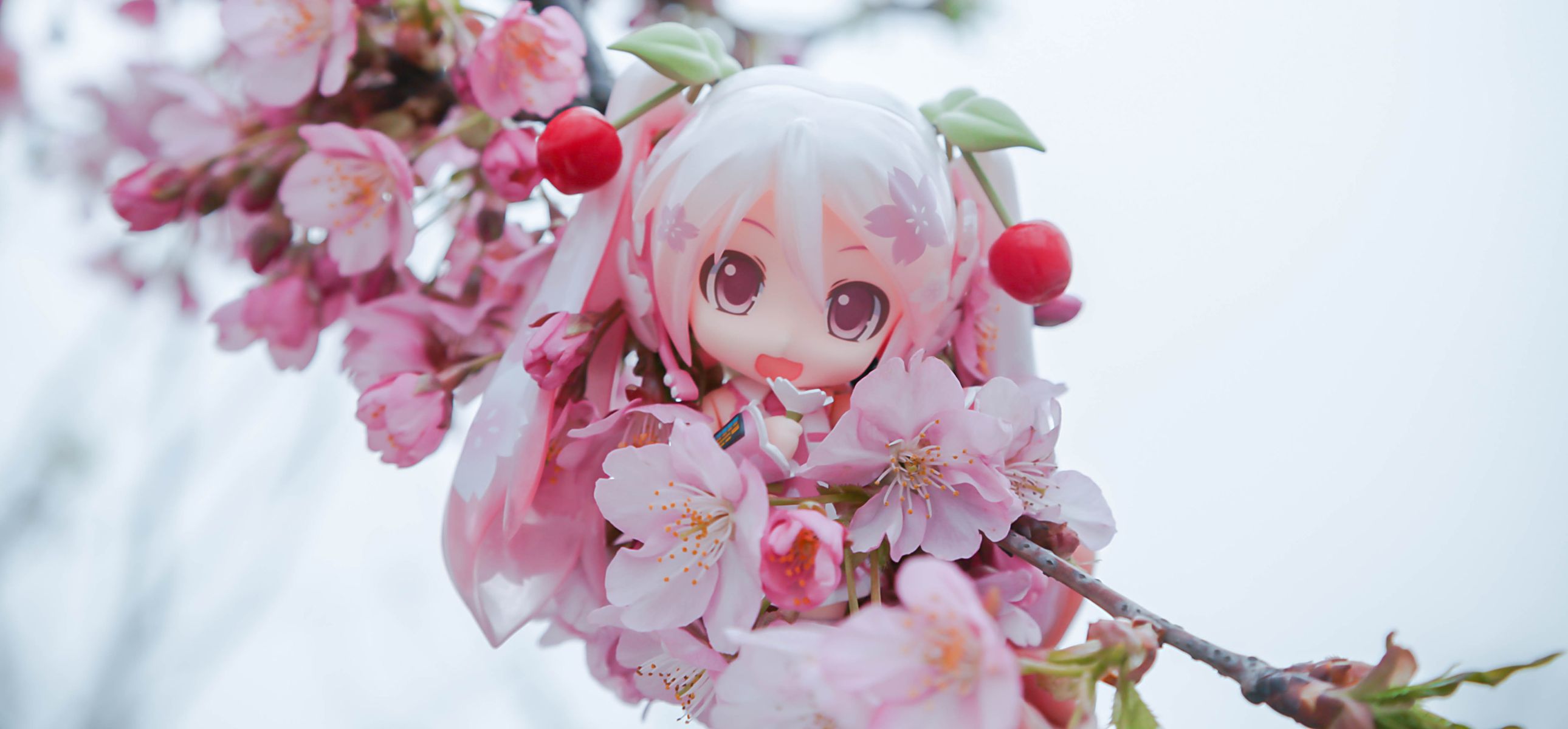 粘土人 #274 樱初音 樱未来
